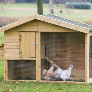 Barnevelder - Capoeira