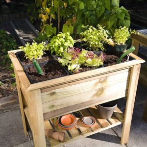 Horta Elevada
