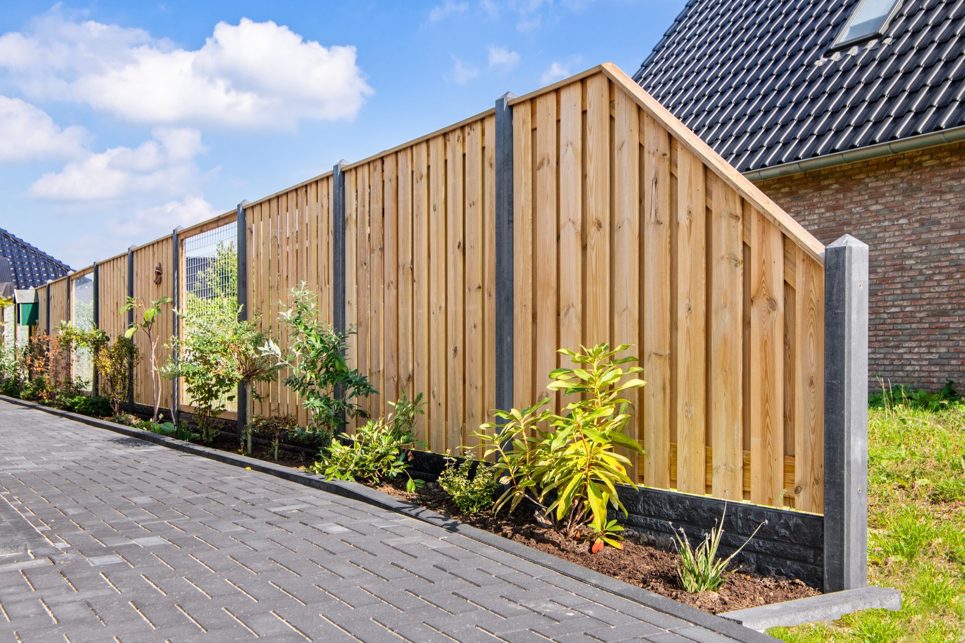 Enschede- Vedação pinho tratado, várias dimensões- paínel de 21 tábuas - Image 6