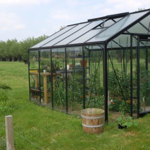 R305-black (11.35m²)